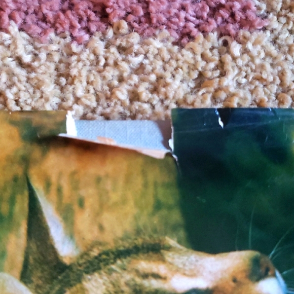 Cat Lover's Coffee Table Book Set of 3 Hardcover Vintage Books - Picture 14 of 17